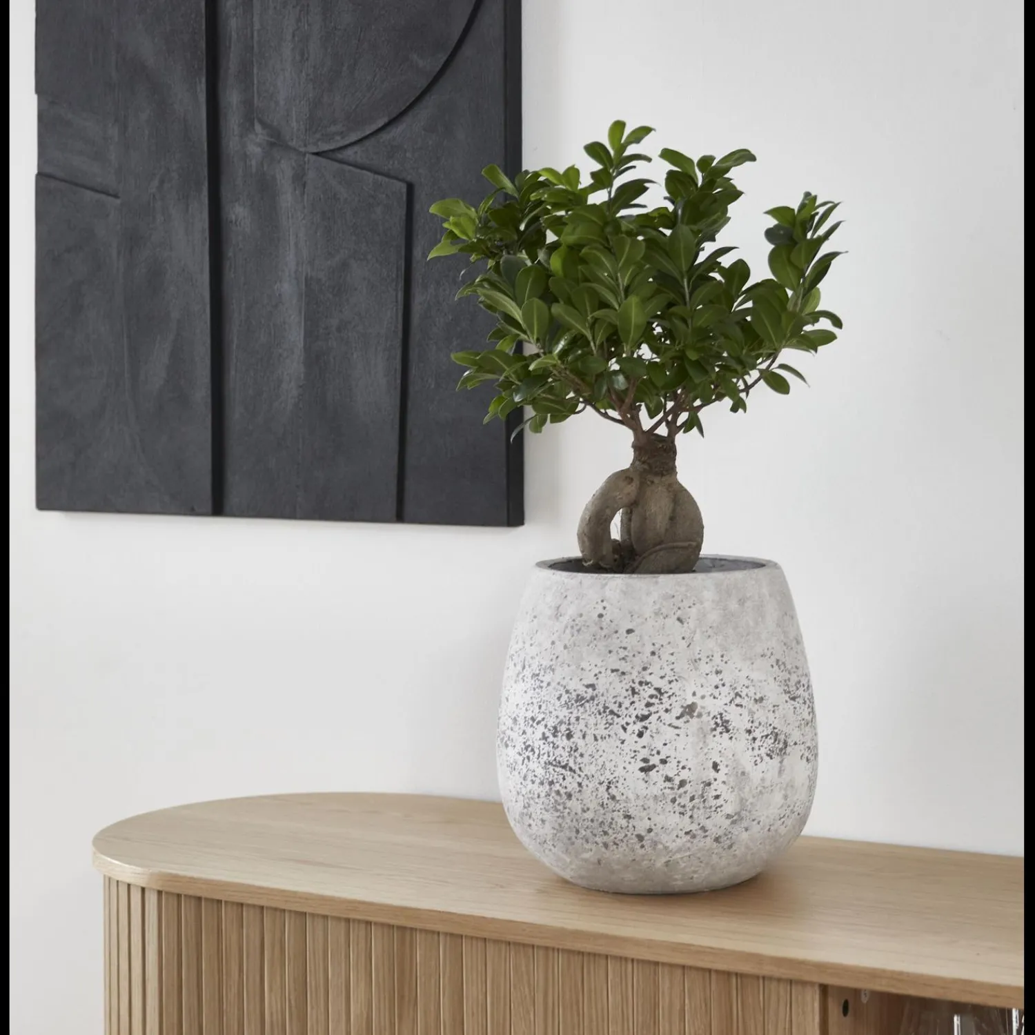 Discount ILVA Alesso Urtepotteskjuler 30 x 30 cm