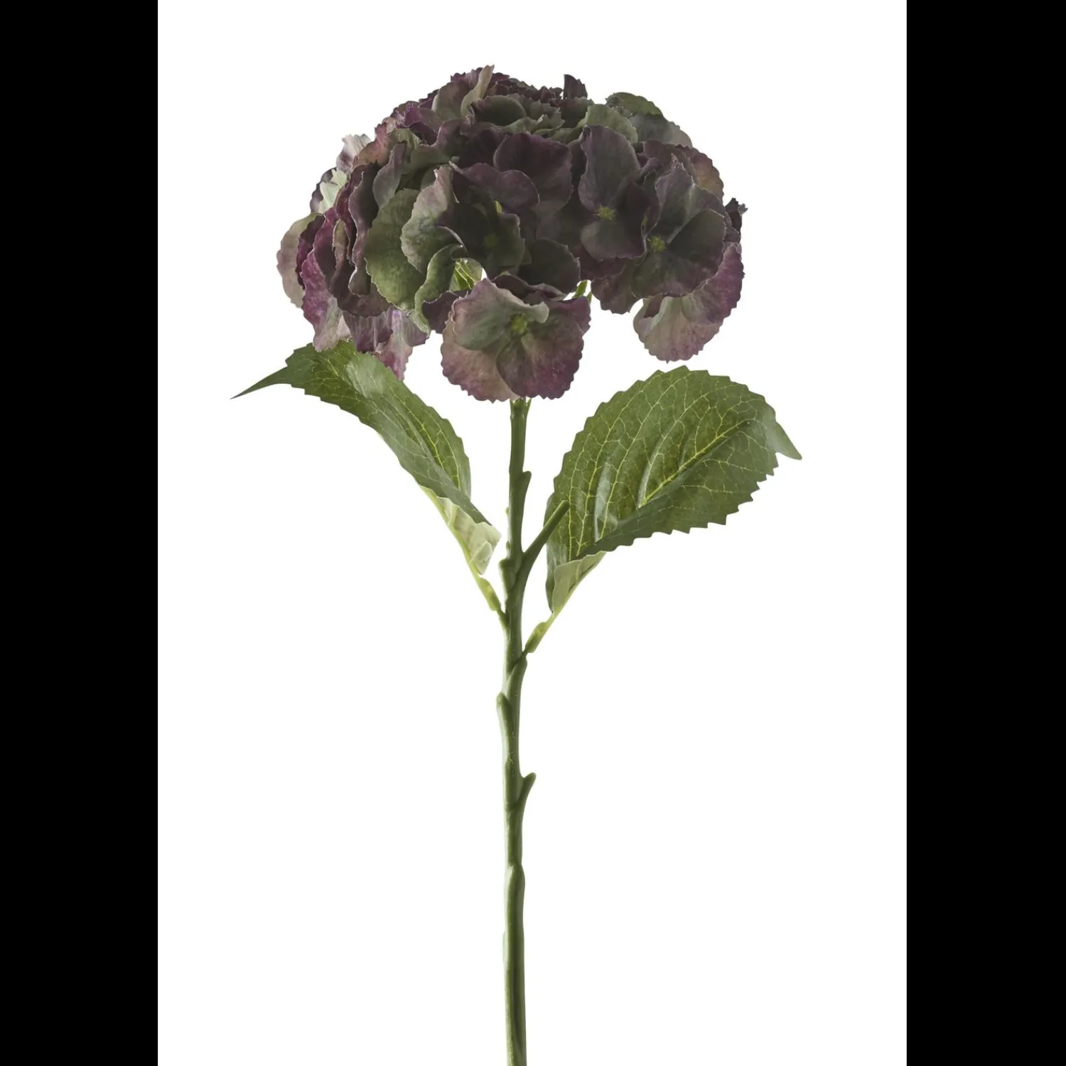 Outlet ILVA Hortensia small 2025 Kunstig plante 50 x 17 cm