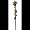 Sale ILVA Nutans Kunstig plante 60 cm