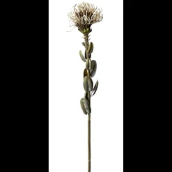 Sale ILVA Nutans Kunstig plante 60 cm
