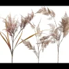 Discount ILVA Pampas 2024 Kunstig plante 95 x 24 cm