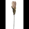 Outlet ILVA Protea Kunstig plante 62 cm