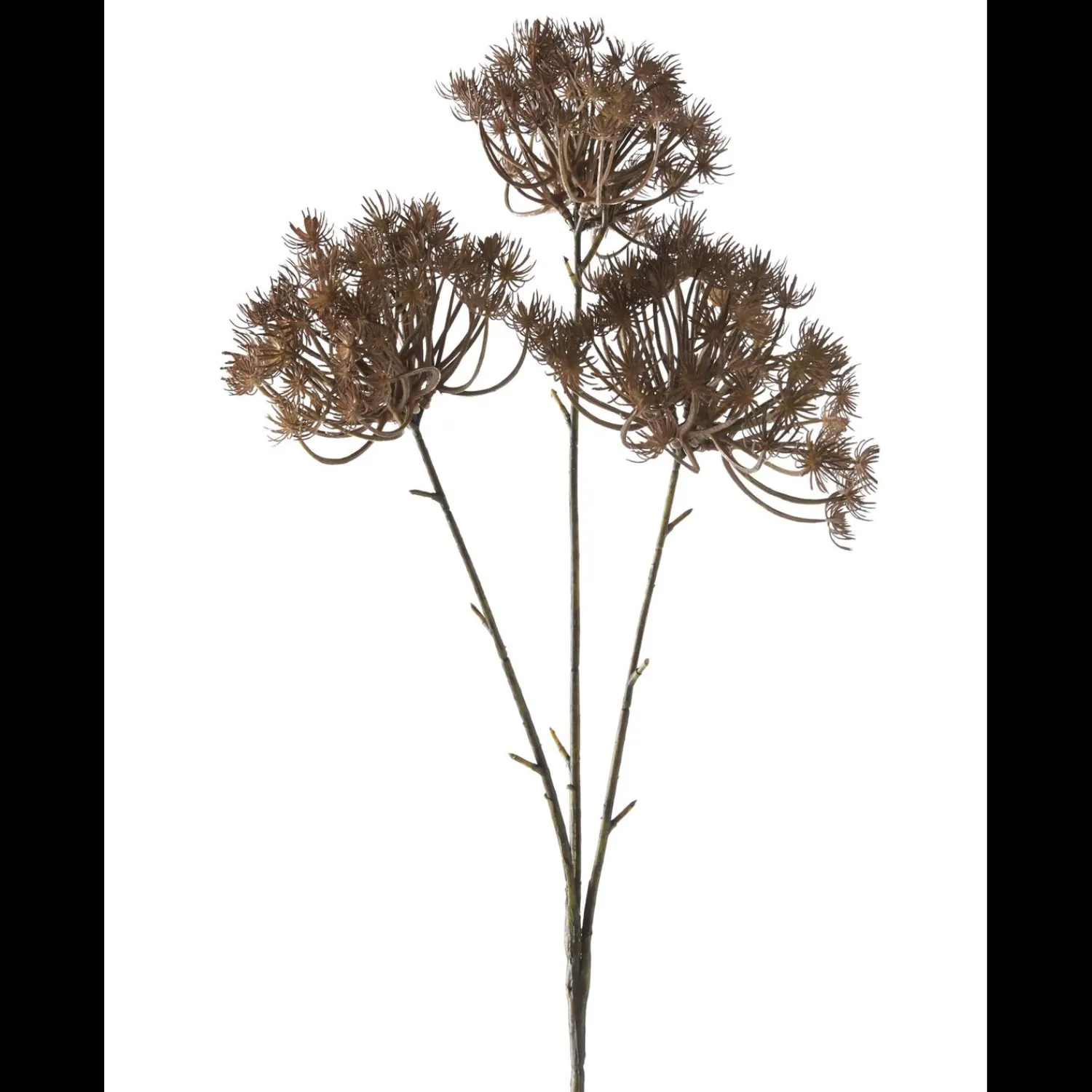 Sale ILVA Pryddild Kunstig plante 75 x 25 cm