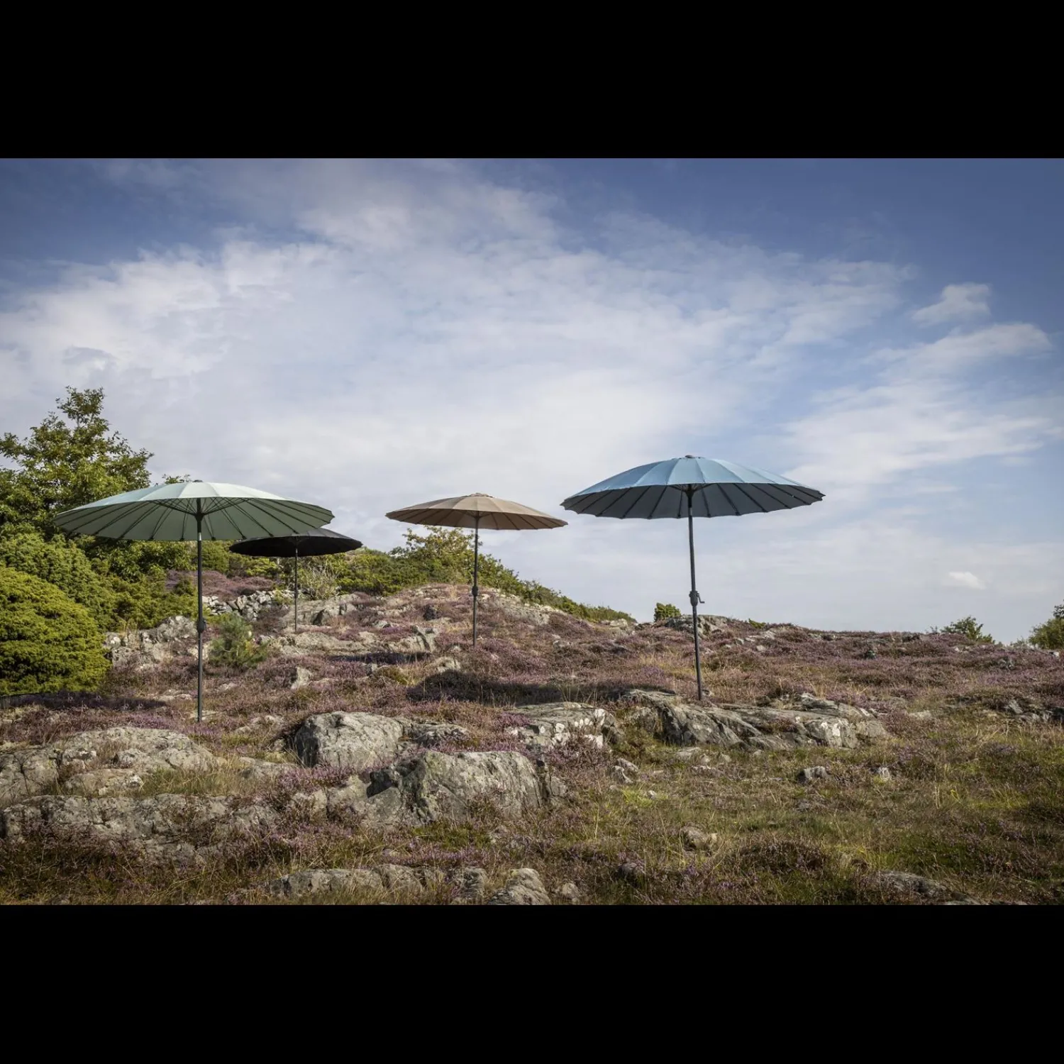 Clearance ILVA Shanghai Parasol 235 x 270 cm
