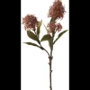 Best ILVA Skimia 2024 Kunstig plante 57 x 16 cm