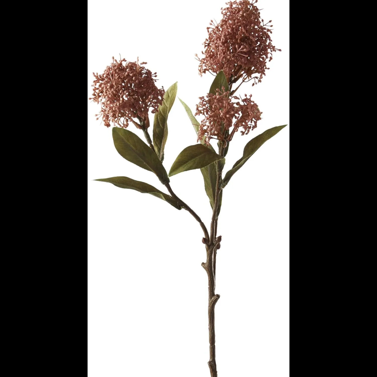 Best ILVA Skimia 2024 Kunstig plante 57 x 16 cm